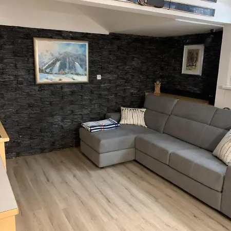 Апартаменты Skier's Cave *